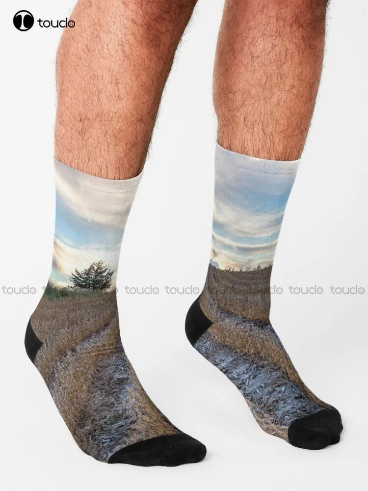 Row To Hoe - Soybean Field Leads To Platinum Sky In Nebraska Socks Sock Personalized Custom Unisex Adult Teen Youth Socks