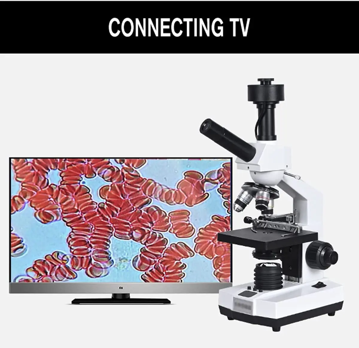 Professional Lab Sperm Biological HD Binocular microscope Zoom 2000X TV microscope With 7\' LCD 5MP Electronic digital eyepiece