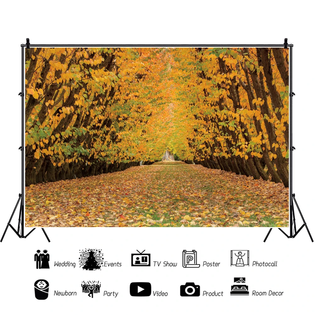 Laeacco foto telón de fondo bosque de otoño Hojas de arce amarillo camino Photozone fondo de fotografía de estudio fotográfico Photocall Prop