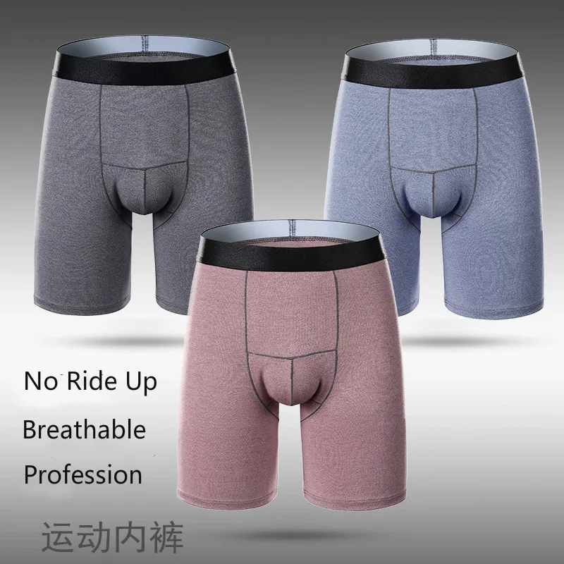 

2 Pack Men's Cotton Boxers No Ride Up Long Boxershorts Stretch Panties Breathable Innerwear for Men Coton 100 Shorts