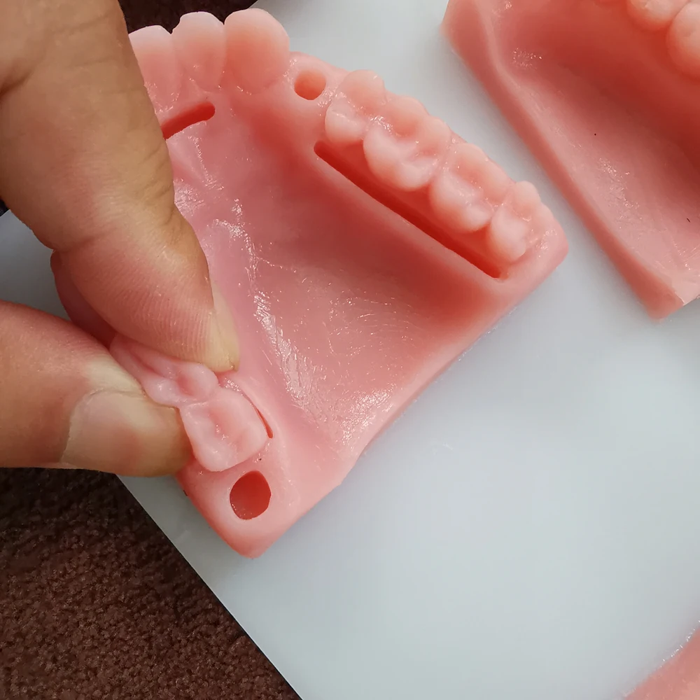 Dental Oral/Gum suture training module silicone periodontitis suture model