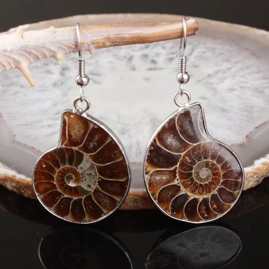 Charm Natural Ammonite Conch Shell Dangle Hook Silver Plated Earring 1 Pair