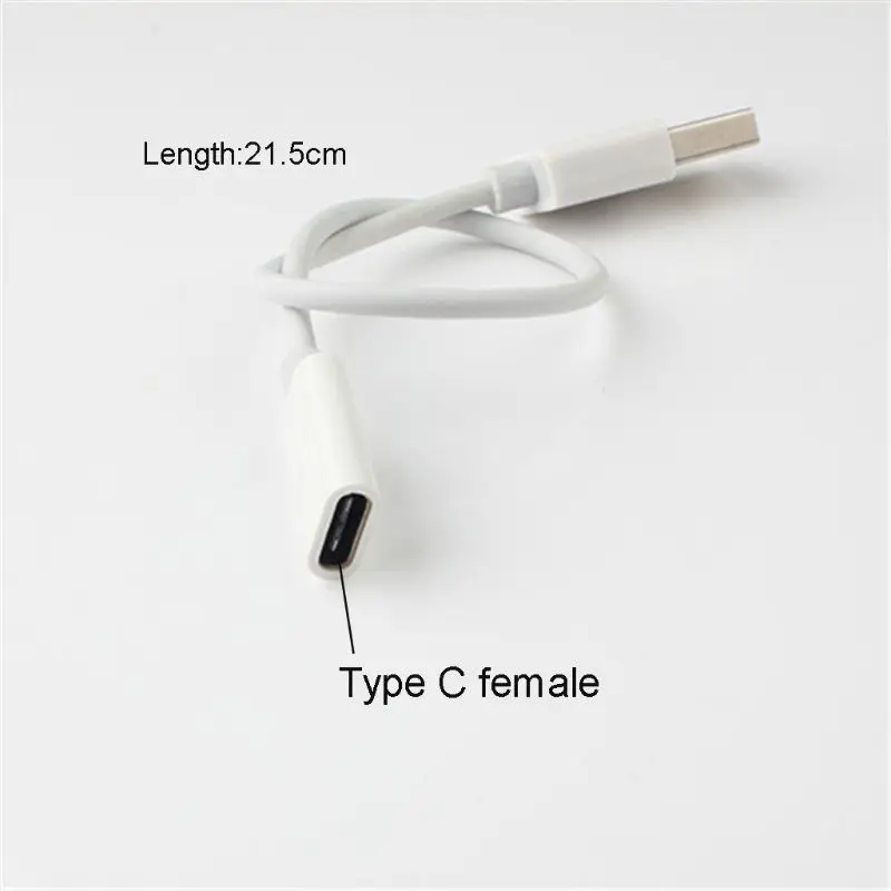 USB 2.0 Type A Male to USB 3.1 Type C Female Cable for Huawei FreeLace Earphone PXPE