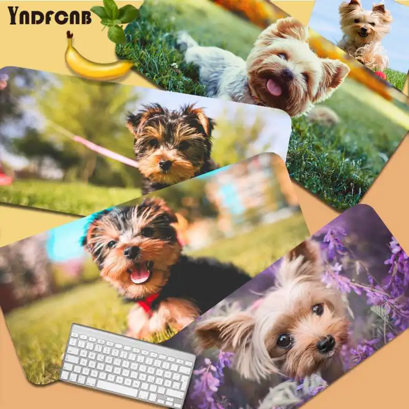 

YNDFCNB yorkshire terrier dog puppy Comfort Mouse Mat Gaming Mousepad Size for Deak Mat for overwatch/cs go/world of warcraft