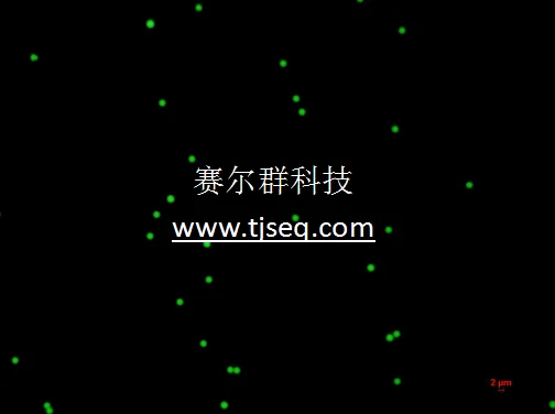 

Monodisperse Green Fluorescent Microsphere/excitation 488nm/ Emission 518nm/ Polystyrene Green Fluorescent Microsphere