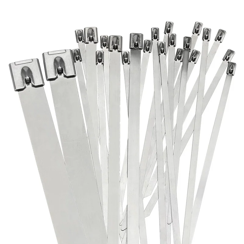 10PCS 4.6mm Stainless Steel Metal Cable Tie Zipper Bag Multifunctional Locking 100/150/200/250/300/350/400/450 Zip Wrap Exhaust