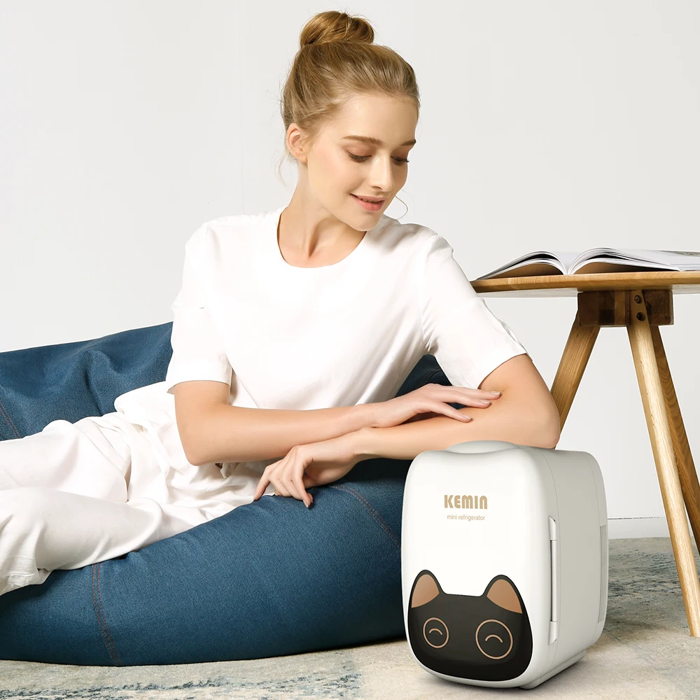 Mini casa e auto frigoriferi a doppio uso per cartoni animati 6L frigoriferi per auto a basso rumore congelatore raffreddamento scatola di riscaldamento frigorifero 12V / 220V 60W