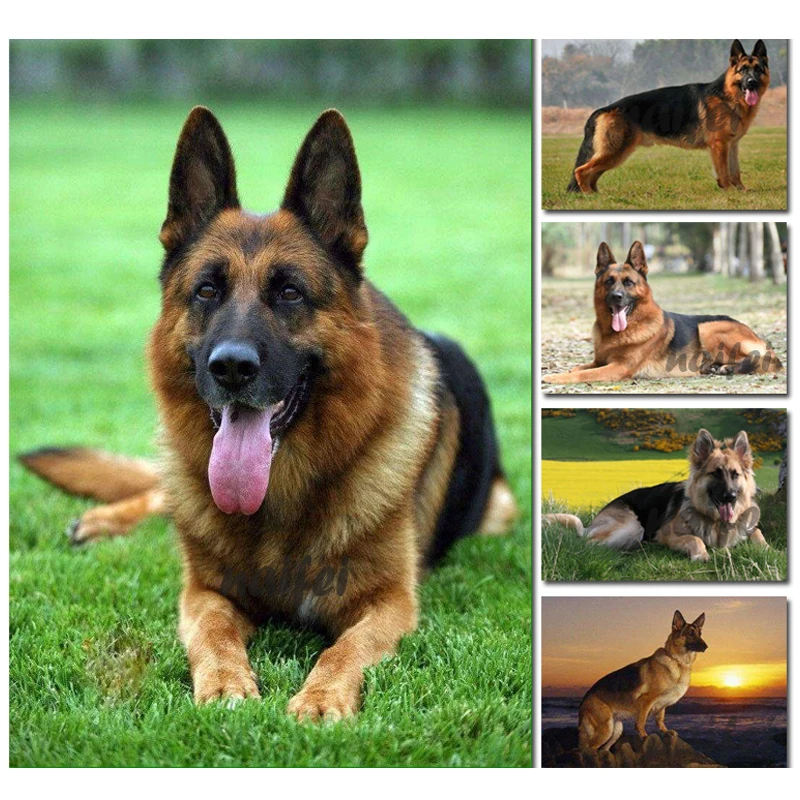 Full Square Round Diy Diamond Painting German Shepherd Cross Stitch Embroidery Dog Mosaic Needlework Crafts Wall StickersZP-3897