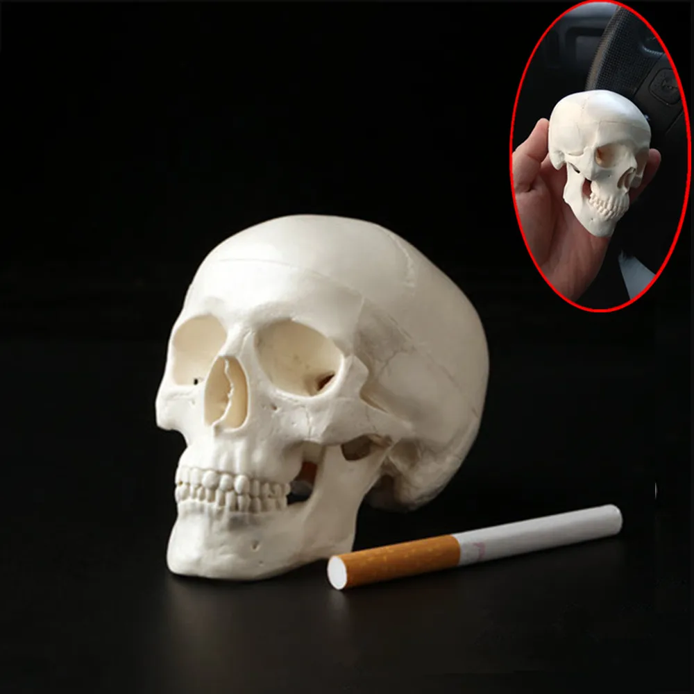 PVC Mini Skull Human Anatomical Anatomy Head Medical Model Convenient Posable Skeleton Halloween Decor Scary Man Bone Party Deco