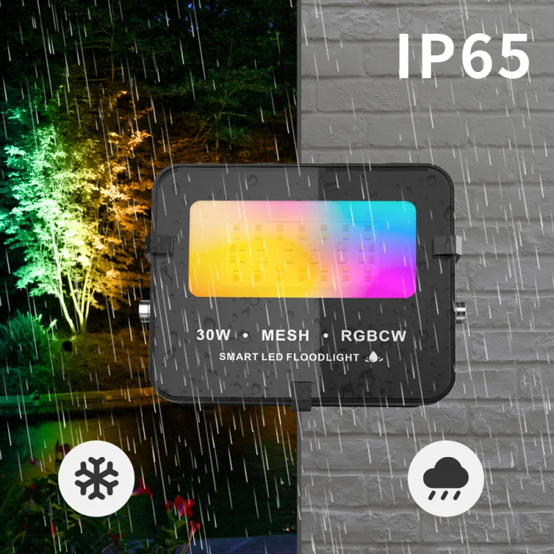 Smart LED Flood Light 30W RGBCW Dimmable Bluetooth Remote Stage Effect Lamp Outdoor Waterproof Garden Party Disco Music Lighting