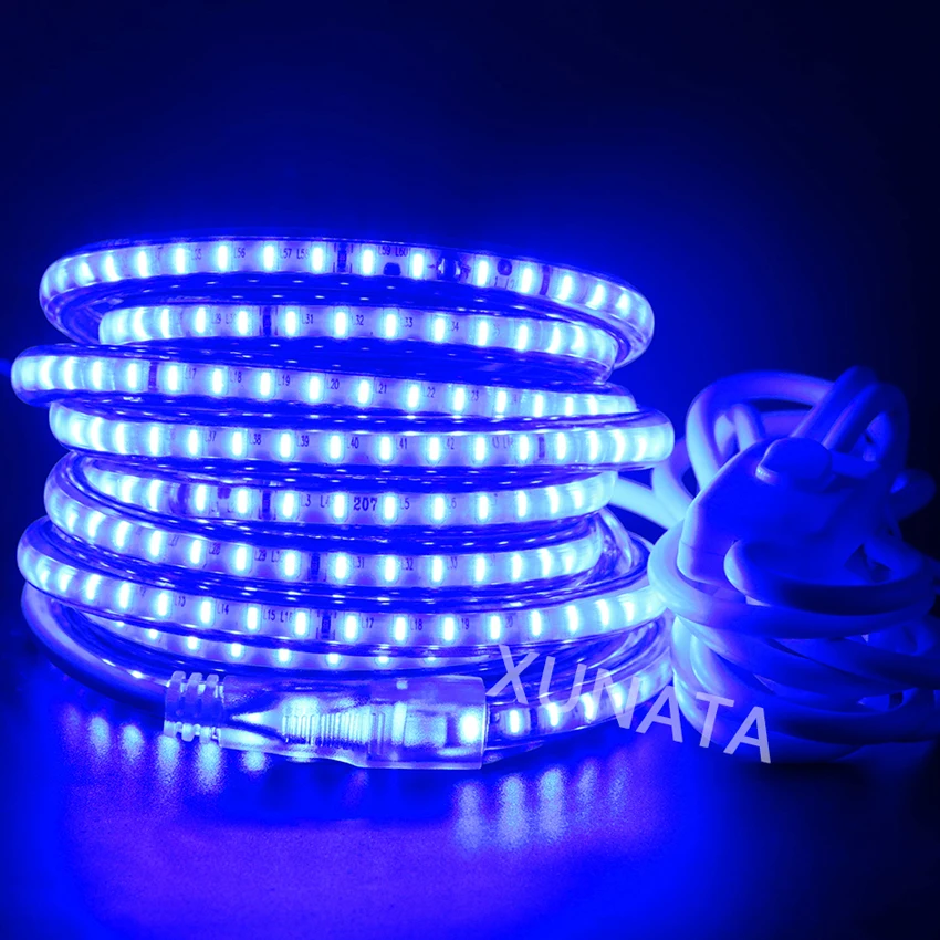 Taśma LED 220V Light 3014 120 leds/m wodoodporny zewnętrzny Led światła linowe wstążka niebieski/biały/ciepły biały z wtyczką EU Switch 1-100m