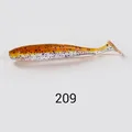 NW209