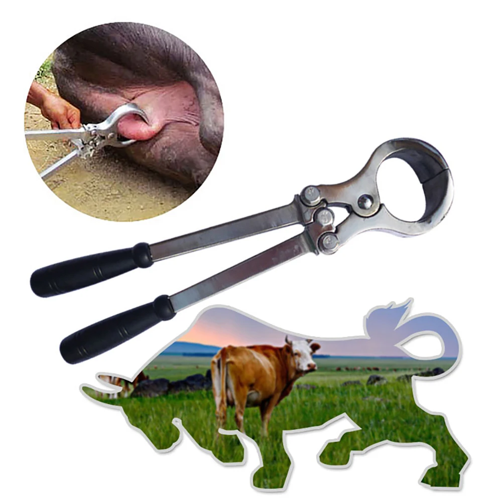 1PCS Cattle Bull Ox Bloodless Emasculation Castrate Clamp Burdizzo Castrator Emasculator Forcep Veterinary Instrument Stainless