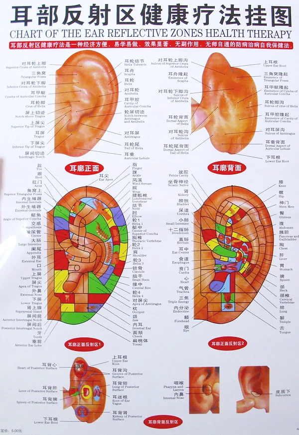 Wat is een Trigger Point Oor en Hoe Gebruik Je deze Effectief?