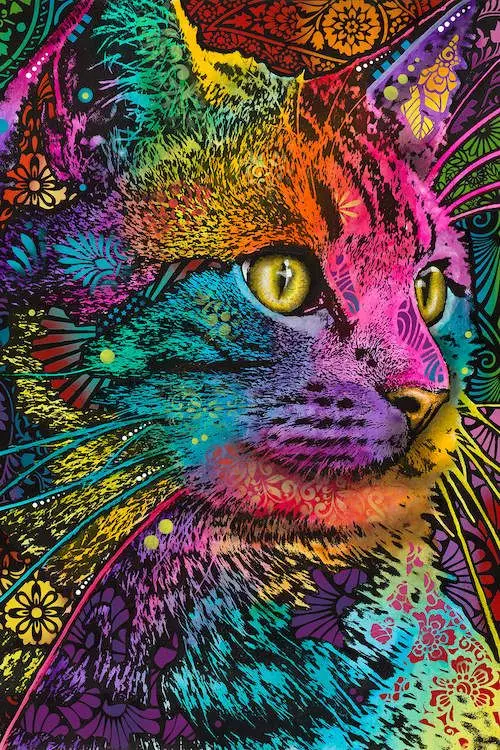 

JMINE Div 5D Colorful Cat Selfie Full Diamond Painting cross stitch kits art High Quality Animal 3D paint by diamonds