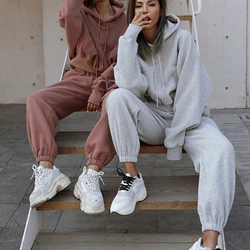 Two Piece Set Casual Fleece Tracksuit Women Winter 2024 Women's Sets Oversized Hooded Long Sleeve Hoodie Sport Pants Lady Suit