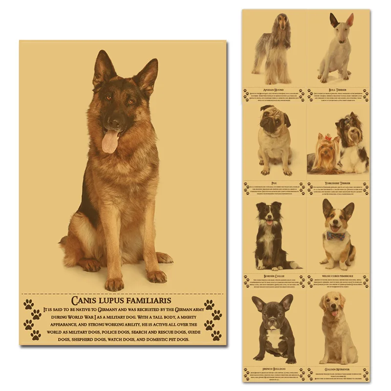 

Cute Dog Breed Poster 30x45cm Retro Kraftpaper Style Wall Posters Friends of Mankind Home Decor Internet Cafe Bar Decoration Art