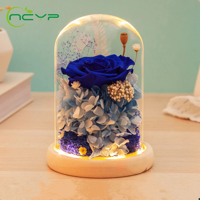 NCYP Glass Dome Glass Bottles Cover Cloche With Wooden Base Flower Landscape Holder For Birthday Halloween Wedding Decoration