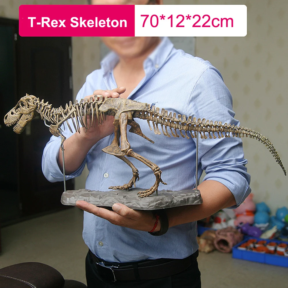 4D Animal Model Toys Simulation Large Dinosaur Fossil Tyrannosaurus Assemble The Skeleton Model Toys Stitching Toys