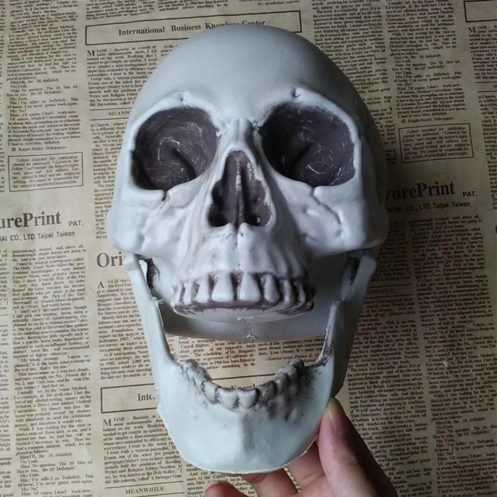 Modelo de cabeza de calavera Artificial para Halloween, calavera de miedo de plástico, Casa Encantada, accesorios para fiesta de Halloween, Bar, decoración del hogar