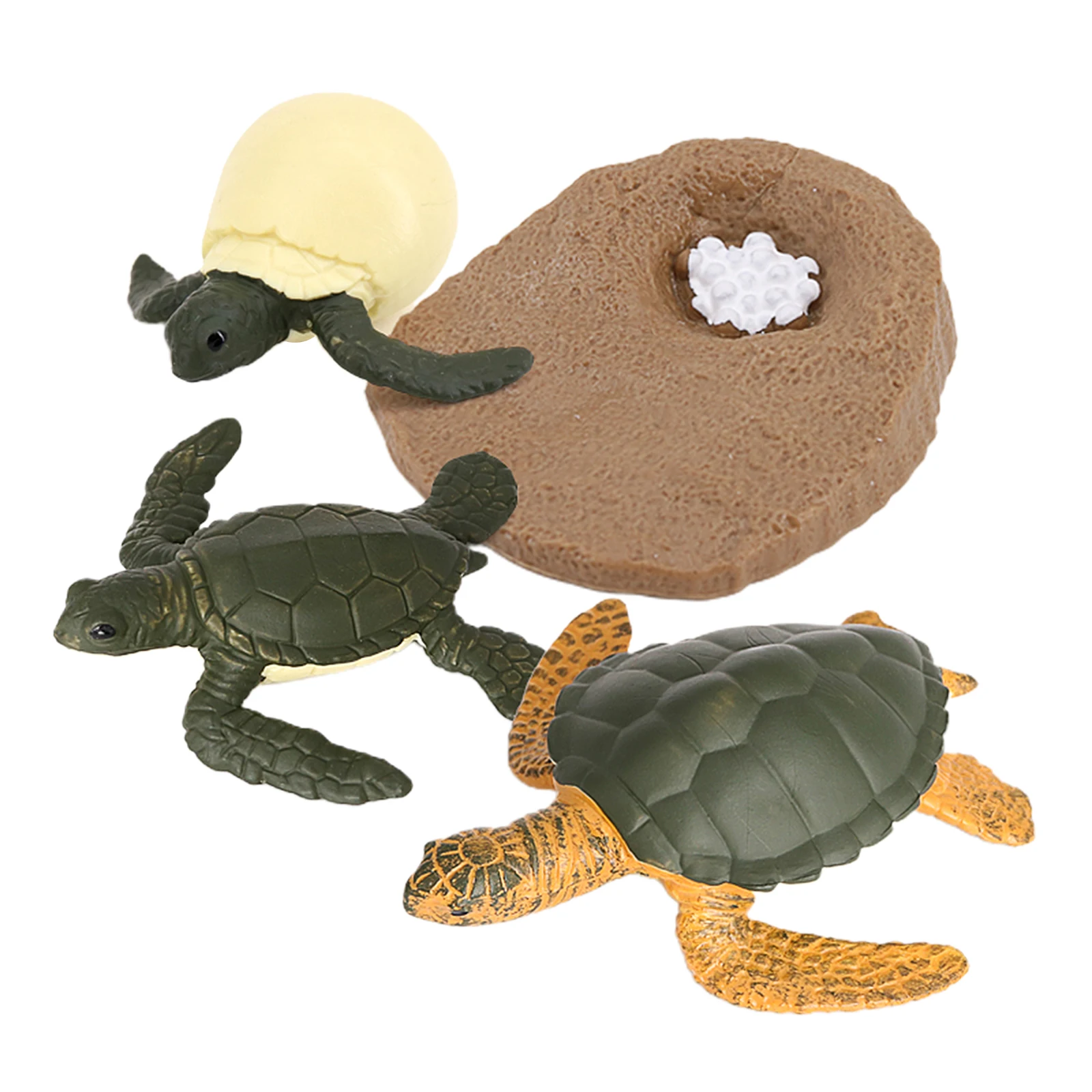 Sea Turtle Life Cycle Model 4 Stage of Growth Kids Education Cognitive Biology Toys