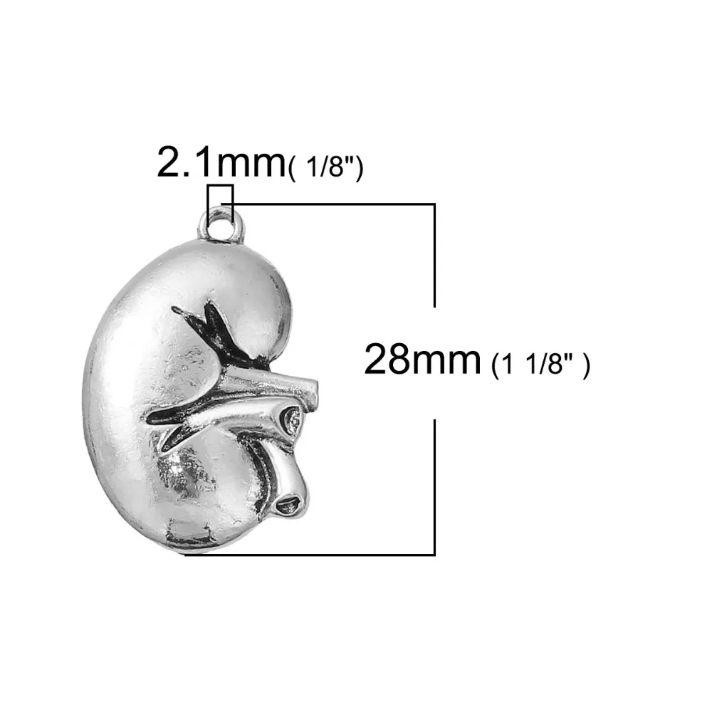 DoreenBeads Zinc Based Alloy 3D Pendants Silver Color Anatomical Human Kidney Charms Pendants 28mm(1 1/8