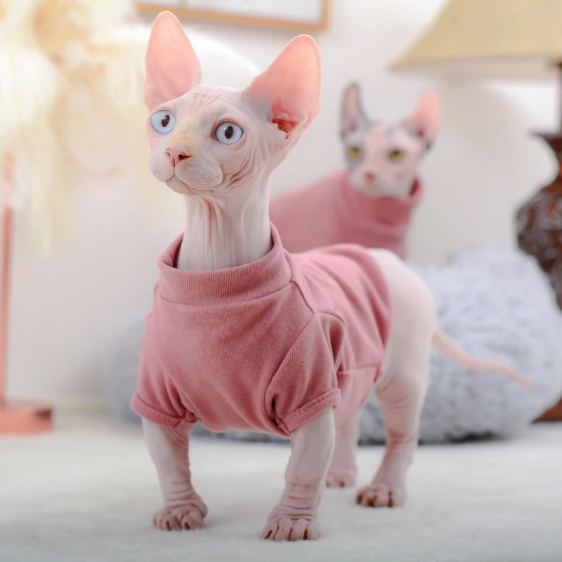 Warme Sphinx Katze Weste Kleidung Kätzchen Hoodies Katzen Overall Feste Shirt Für Sphynx Plus VelvetPet Kostüm Winter Herbst DevonRex