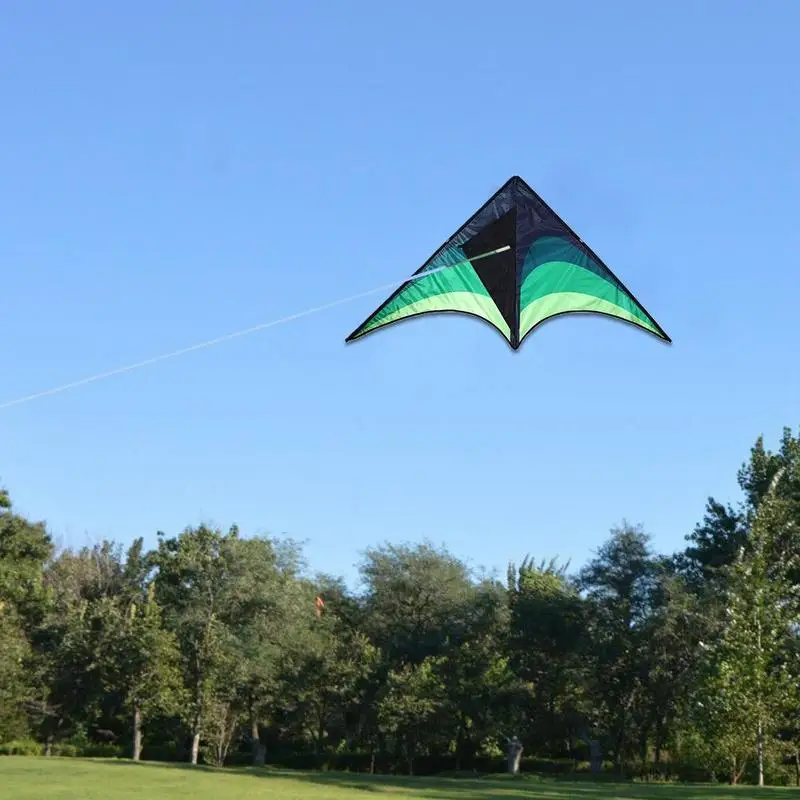 Hohe Qualität Große Delta Drachen Mit Griff Linie Outdoor-spielzeug Für Kinder Drachen Nylon Ripstop Albatros Outdoor Drachen Fliegen