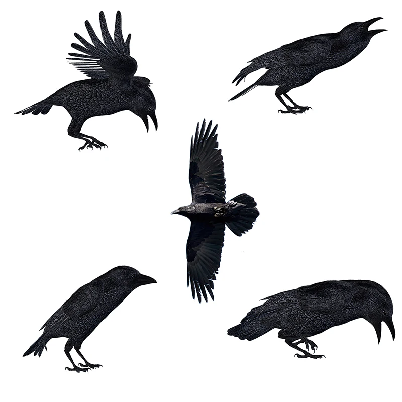 

QD105 HD Crow Bird Stickers For Cool Room Decoration Poster Self Adhesive Removable