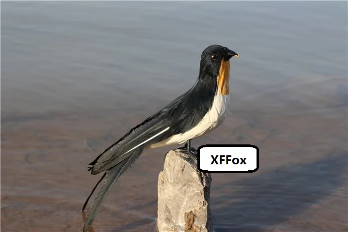 30cm Realistic Swallow Model Simulation Bird Polyethylene & Furs Detail Gift Approximate Size 12