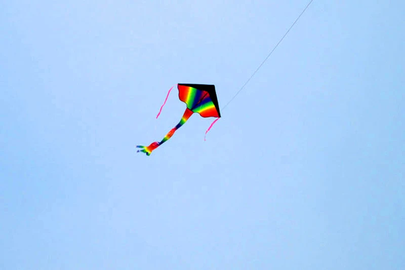 Zabawa na świeżym powietrzu 2,1 m Duże tęczowe latawce delta z 100 m linką do trzymania Latawce dla dzieci Zabawki do latania Sporty na świeżym powietrzu Zabawki na świeżym powietrzu