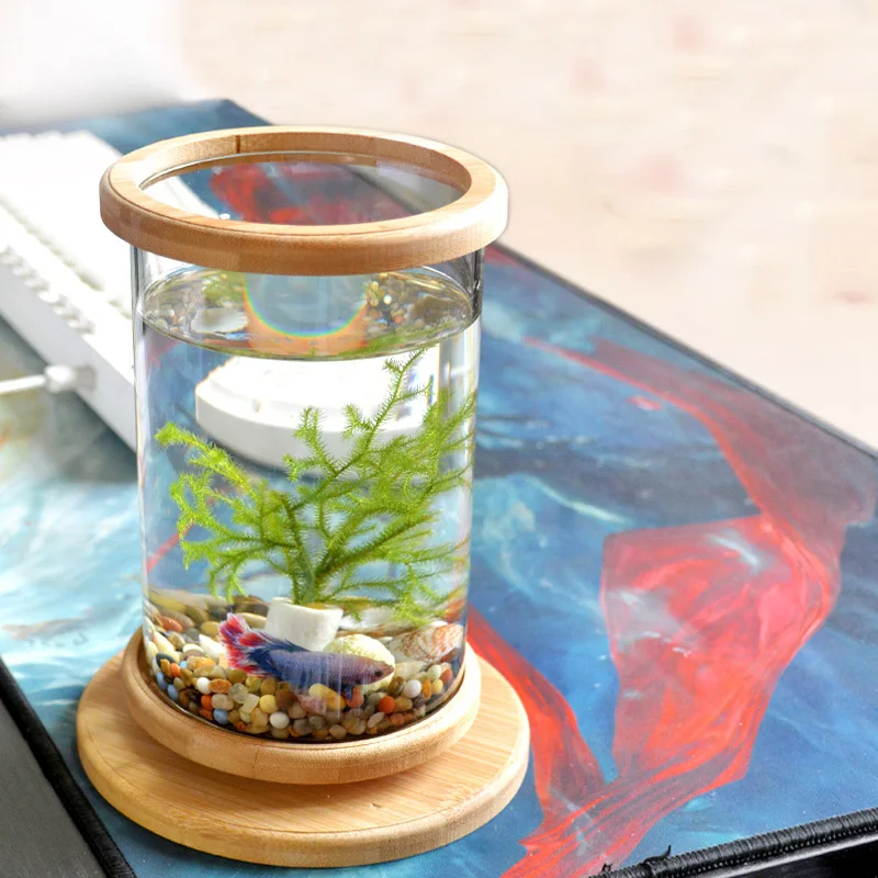 360 Degree Rotating Glass Betta Fish Tank Bamboo Base Mini Fish Tank Decoration Rotate Fish Bowl Aquarium Accessories