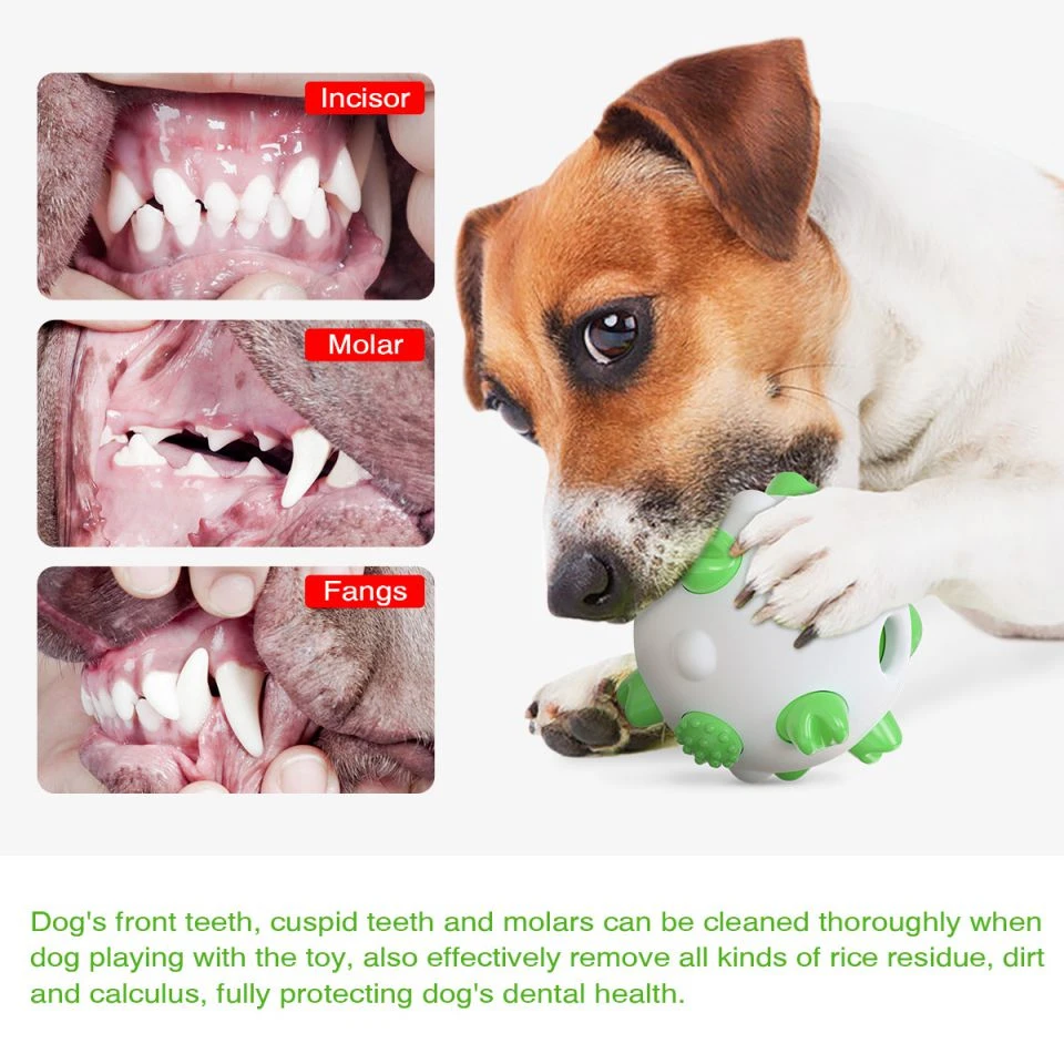 Dog Slow Feeder Toy Puppy Chew Toy Molar Tennis Ball Squeaky Durable Pet Toy for Teeth Cleaning Remove Calculus Agility Training