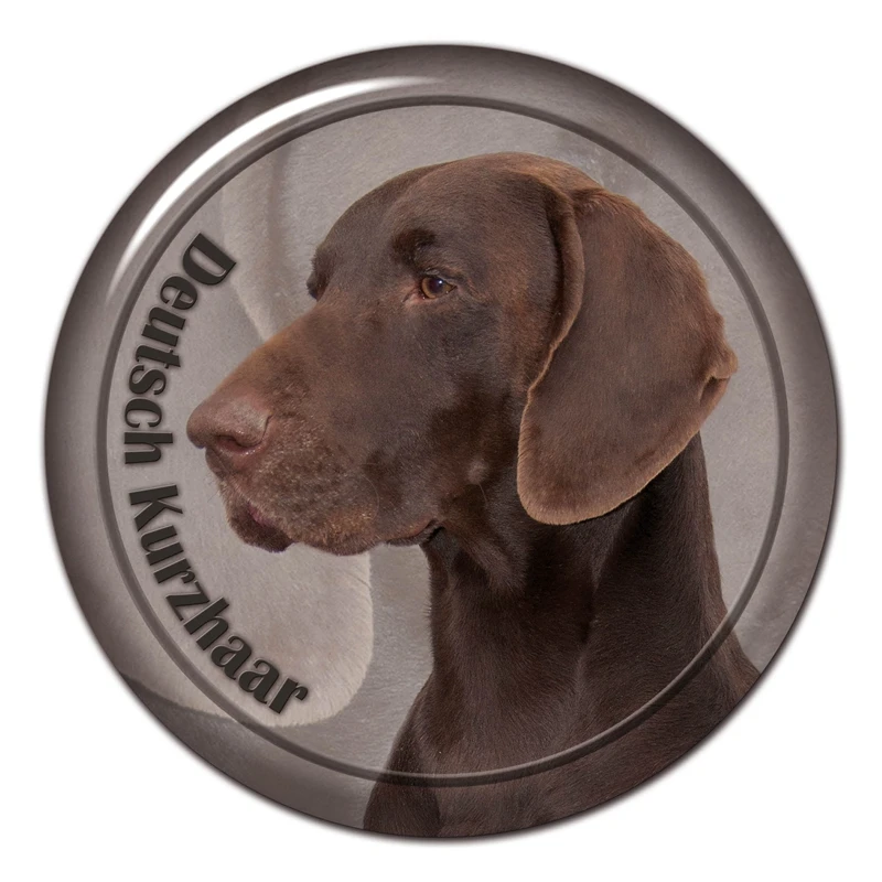 B0835# 13CM/17CM Self-Adhesive Decal Deutsch Kurzhaar Dog Car Sticker Decors on Bumper Rear Window Laptop