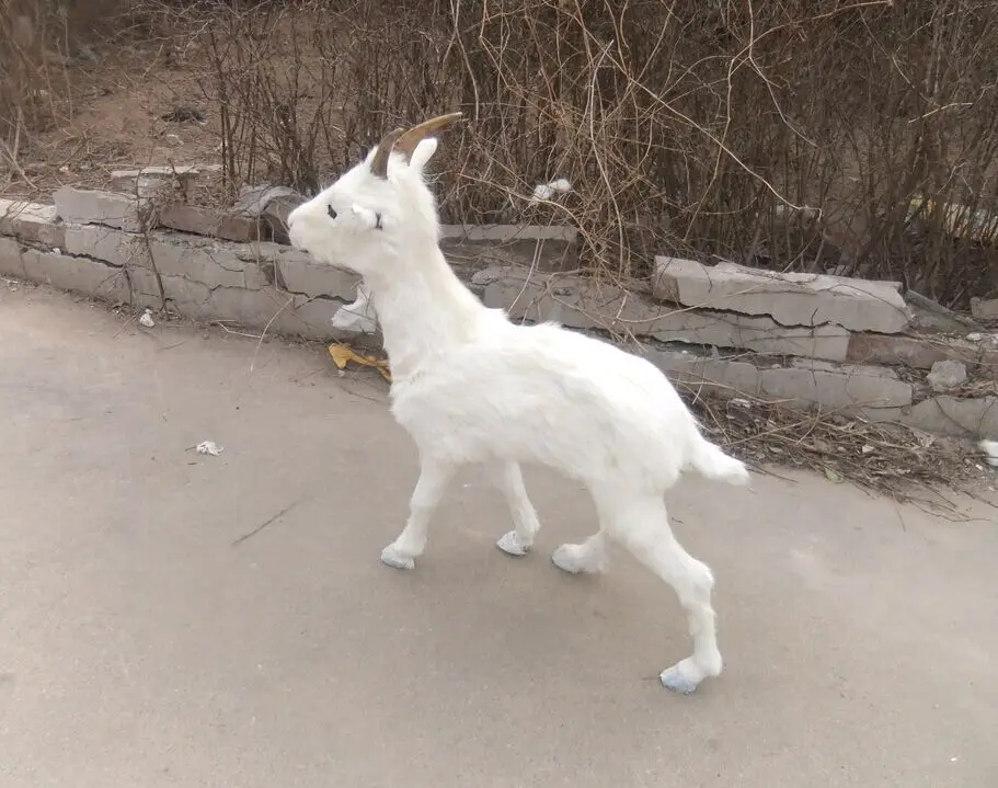 big simulation white sheep model polyethylene&furs real life goat model doll gift about 60x24x64cm