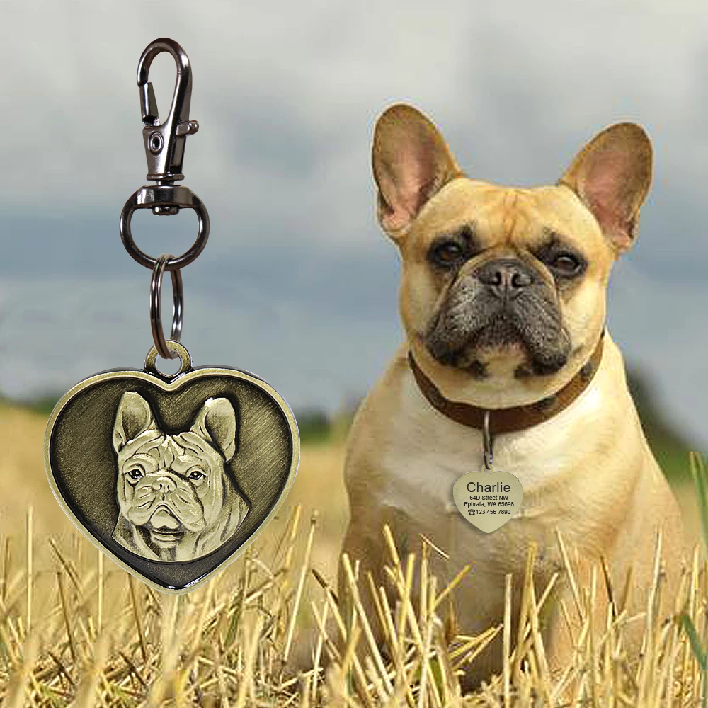 Custom Dog ID Tag Engraved Personalized Name ID Tag For Dogs Cats Puppy Round Metal Nameplate Pet Accessories