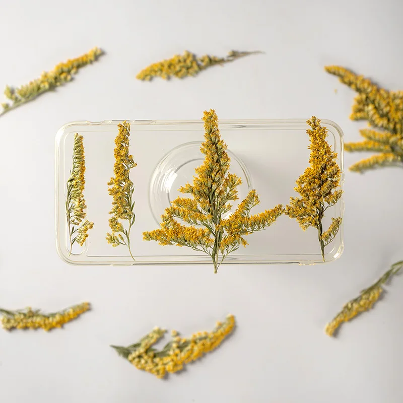 

60pcs Pressed Dried Flower Solidago decurrens Lour Herbarium For Epoxy Jewelry Bookmark Phone Case Makeup Nail Art Craft DIY