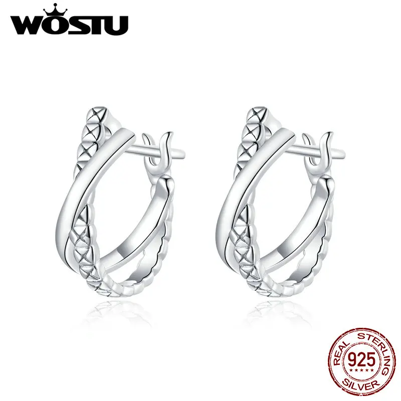 WOSTU Real 925 Sterling Silver Geometry Stud Earrings Shining Zircons Earrings For Women Fashion Wedding Silver Jewelry CTE440