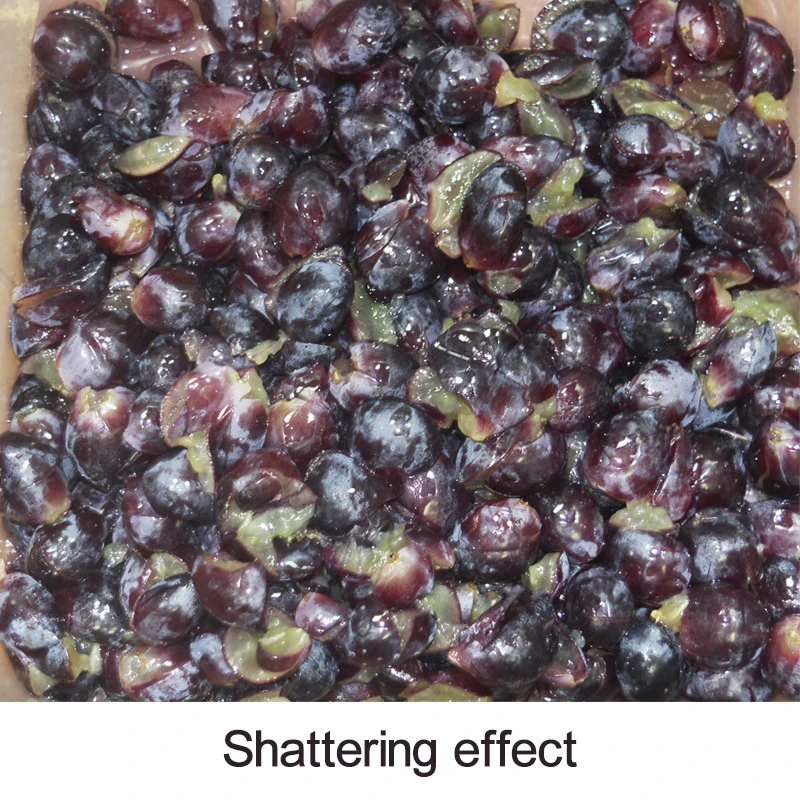 Pode triturador elétrico de aço inoxidável roda dupla elétrica triturador pequena família casa-vinho de frutas de vinho fabricado 24v