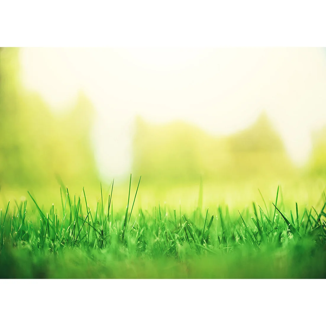 Фон для фотосъемки детей в стиле боке с изображением пастбища, компьютерная печать