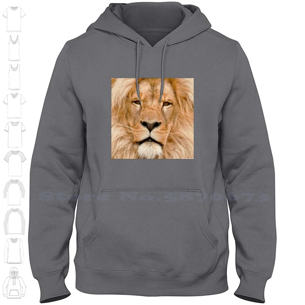 The King Of The Jungle Long Sleeve Hoodie Sweatshirt Lion Animal The Lion King Lion King Simba Cute King Cat Movie Book Book Of