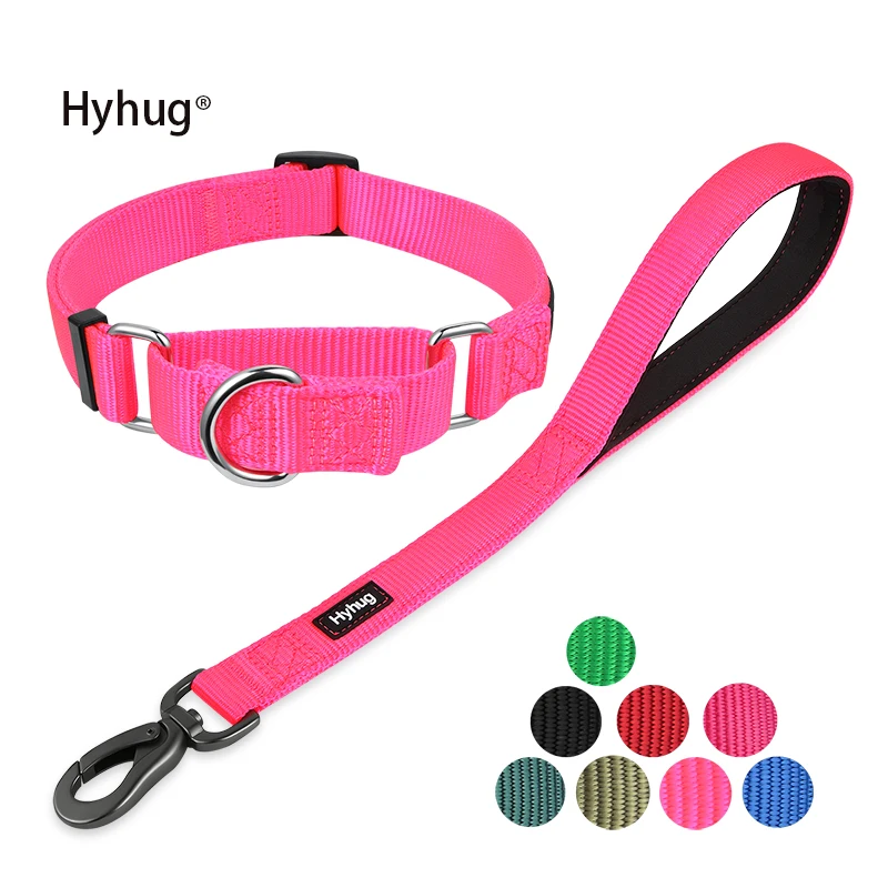 Hyhug design nylon martingale dog collar and 18  inch dog leash sets，Training, walking and short distance control dogs