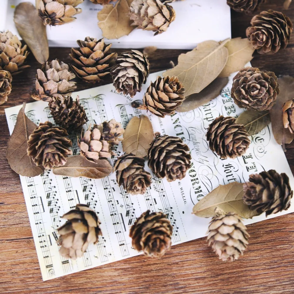 Wholesale Natural Pine Cones Dried Fruit Fotografia Accessories Tabletop Photo Shoot Photography Background Props Studio Decora