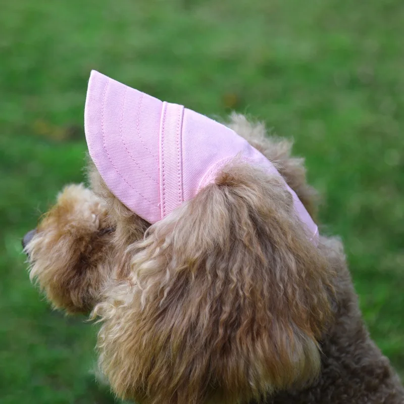 Pet Hat with Ear Holes Cute Baseball Cap for Large Medium Small Dogs Summer Dog Cap Sun Hat Outdoor Hiking Pet Products