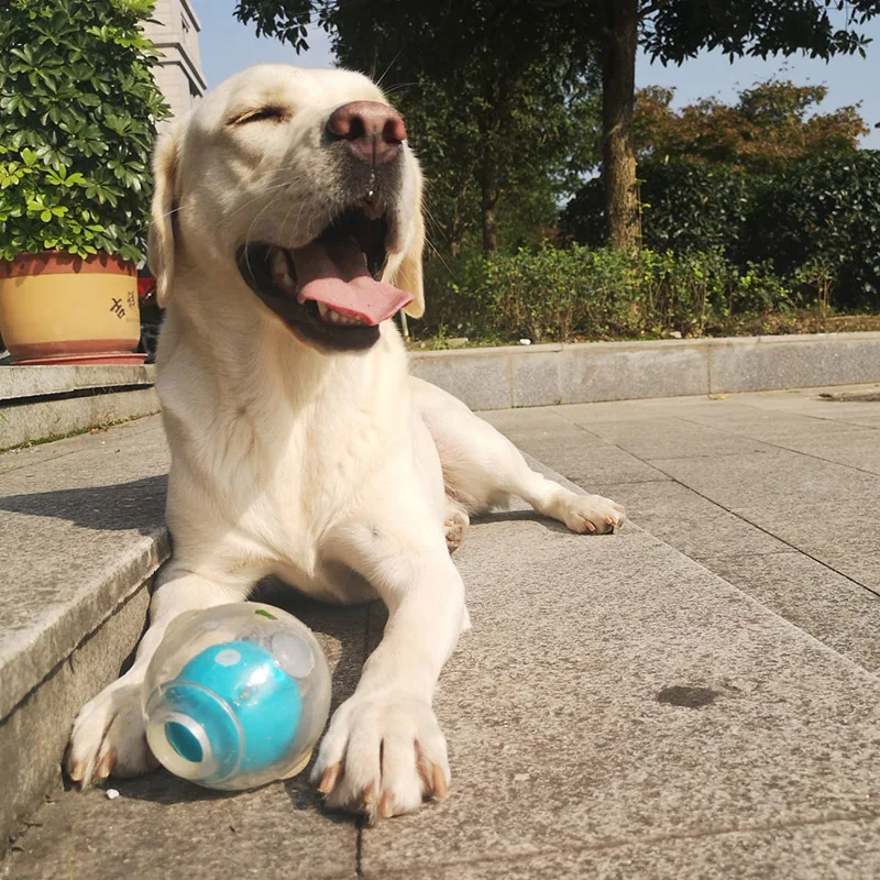 CAITEC Dog Toy Amazing Squeaker Ball Durable Floatable Springy Bite Resistant Best for Tossing Chasing Foraging Medium Large Dog