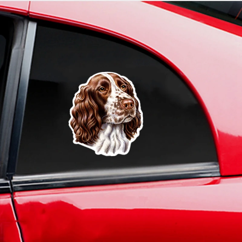 S40228# Various Sizes PVC Decal English Springer Spaniel Car Sticker Waterproof on Bumper Rear Window Laptop Refrigerator Toilet