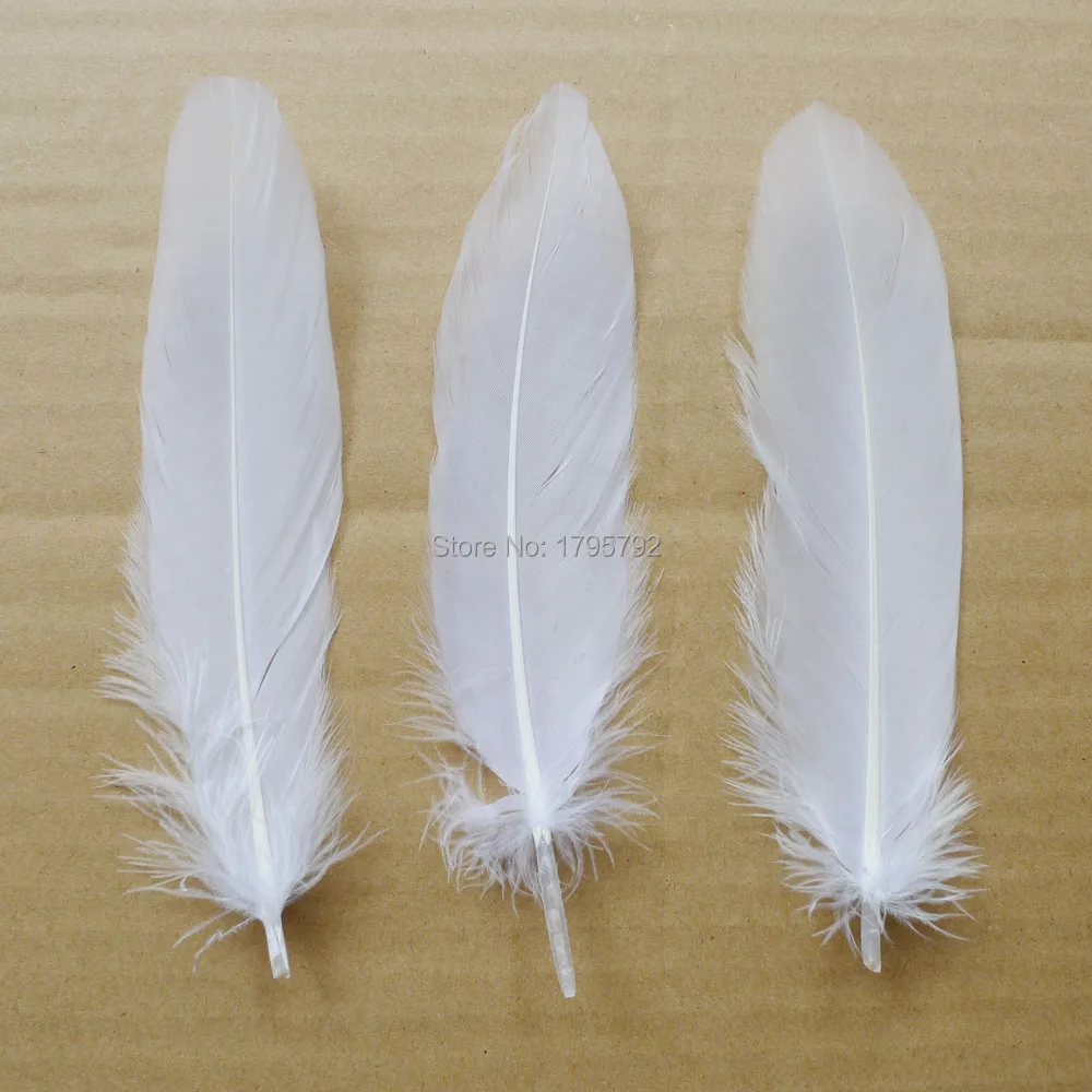 Wholesale Hard Pole 1000 Pcs White Goose Feathers For DIY Crafts Swan Plumes 12-18cm Jewelry Wedding Home Accessories Decoration