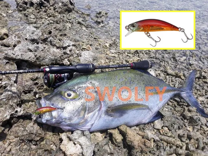 Tsurinoya 14-teiliges Bestseller-Set DW63 Sinkender Mini-Minnow-Köder 50mm 5g Angelköder mit Lebensechten 3D-Fischaugen – Detail 8
