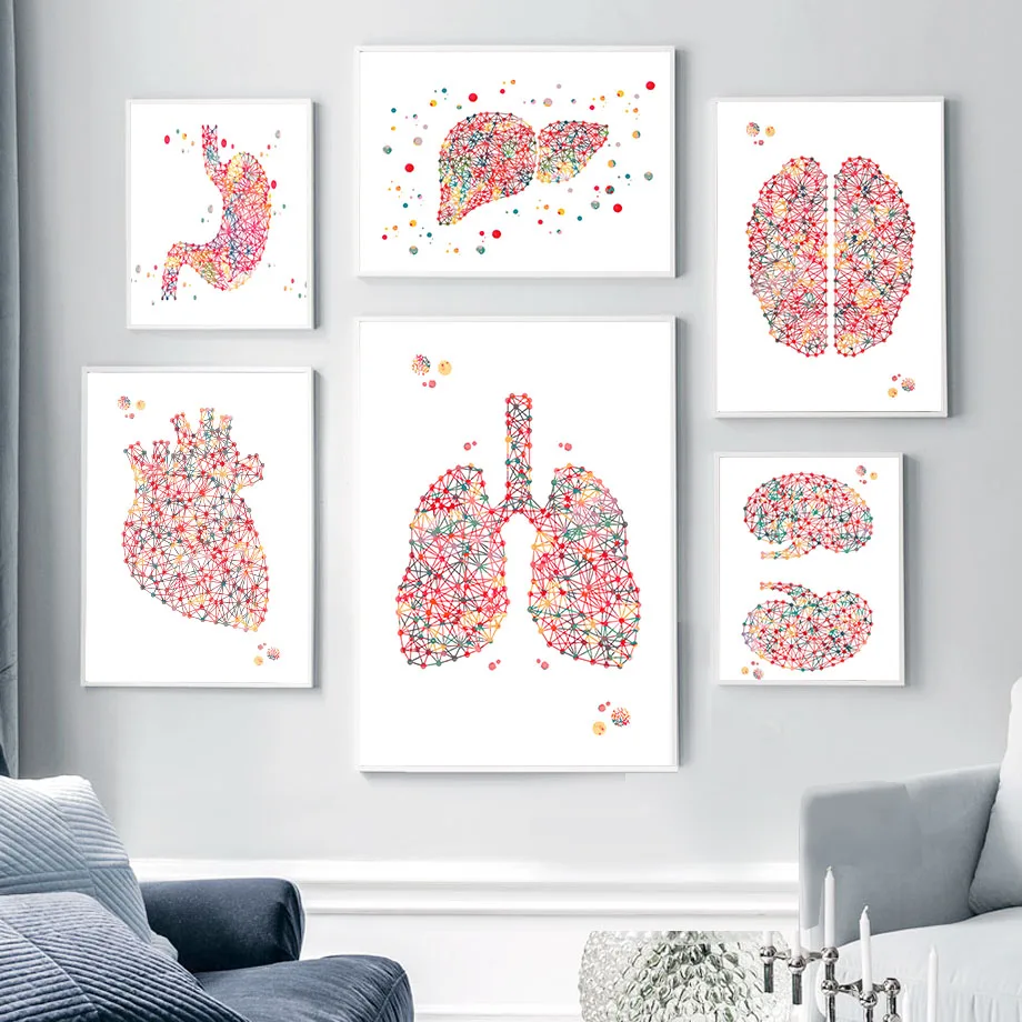 

Colorful Brain Heart Liver Kidney Organs Anatomy Wall Art Canvas Painting Posters And Prints Wall Pictures Doctor Office Decor