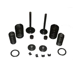 Intake and Exhaust Valve Assy Kit for 70cc 90cc 110cc horizontal Engine ATV motorcycle dirt bike parts.